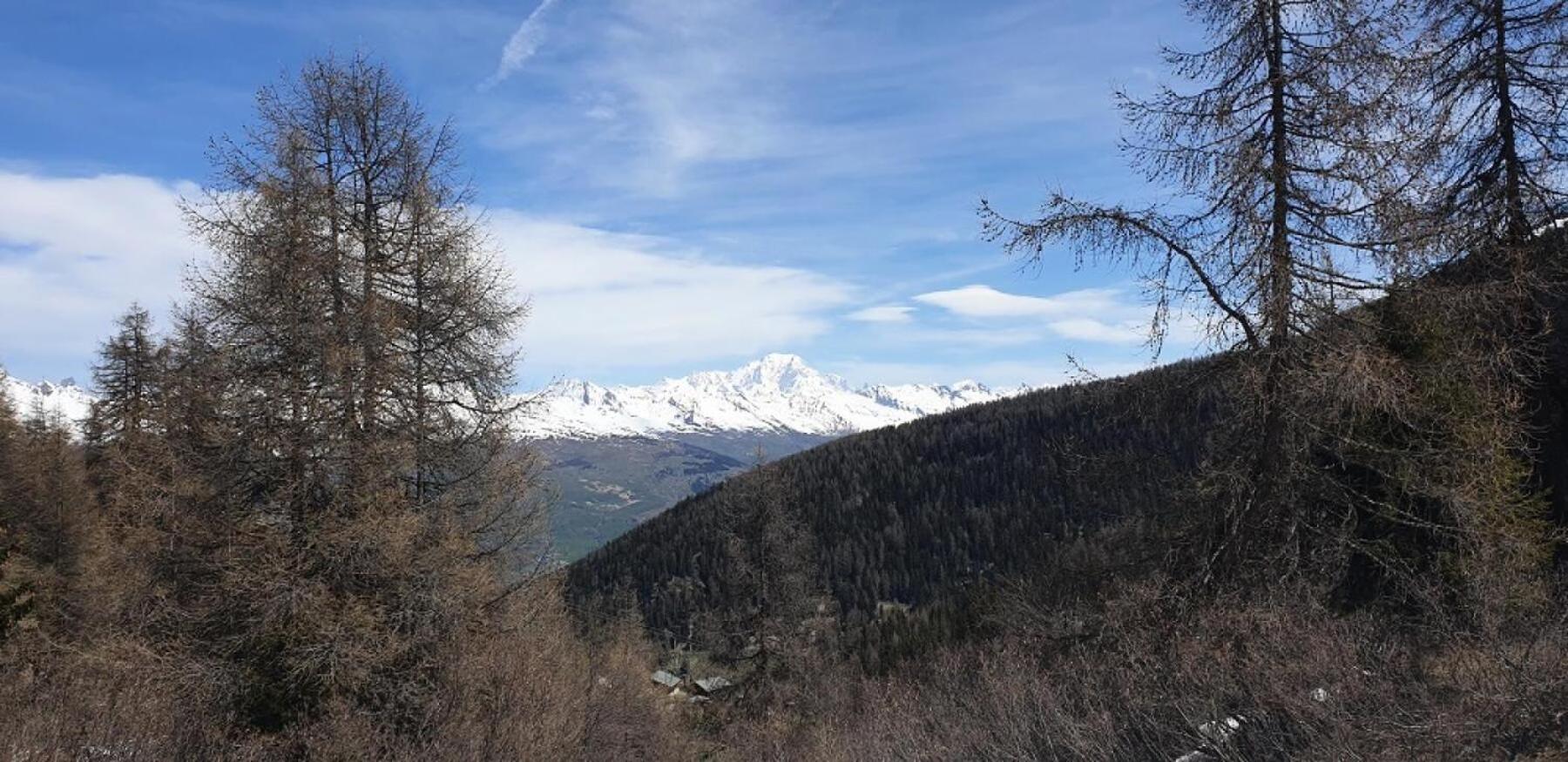 Residence Plagne Lauze - Maeva Home - Studio 2 Personnes - Selection Mae-9201 Macot-la-Plagne Exterior photo
